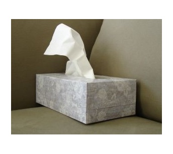 tissue box